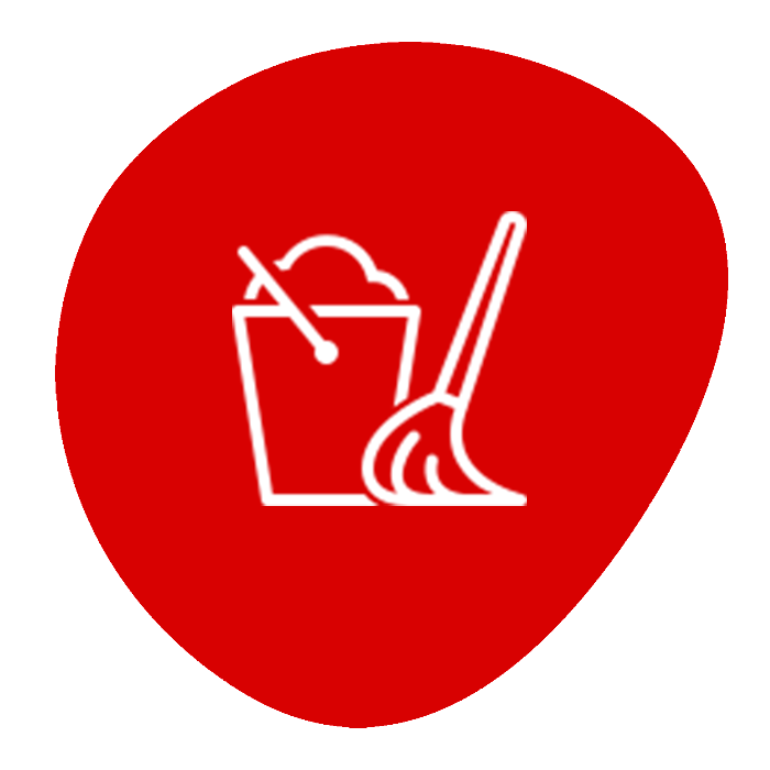 Regular Cleaning icon